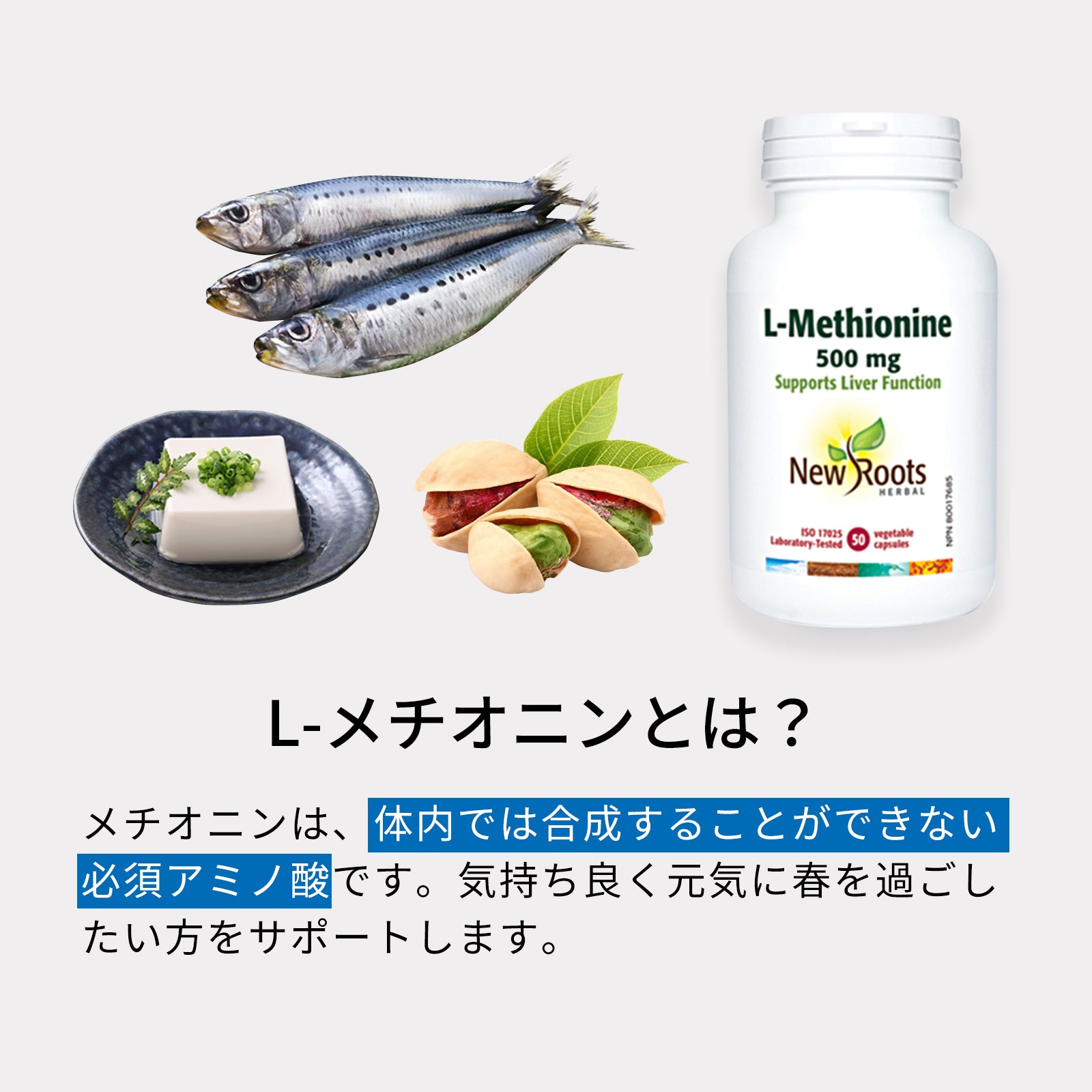 L-メチオニン 500mg 50粒 メチオニン  | ニュールーツハーバル  サプリ サプリメント アミノ酸 美容 季節の変わり目が気にならない生活をサポート！