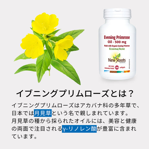 イブニングプリムローズオイル 500mg 180粒（オーガニック月見草使用） | 女性に嬉しい栄養素 ハリと潤いのある毎日へ！ 月１の体調リズムを快適にサポート！