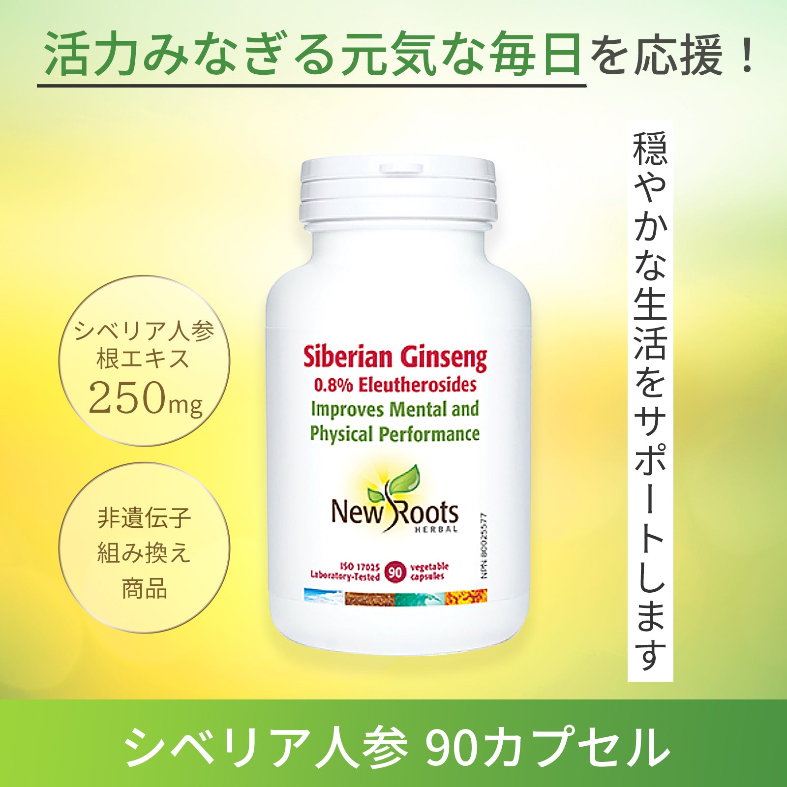 Siberian Ginseng 90 Capsules | Stress Care Eleutherosides Eleuthero Adaptogen