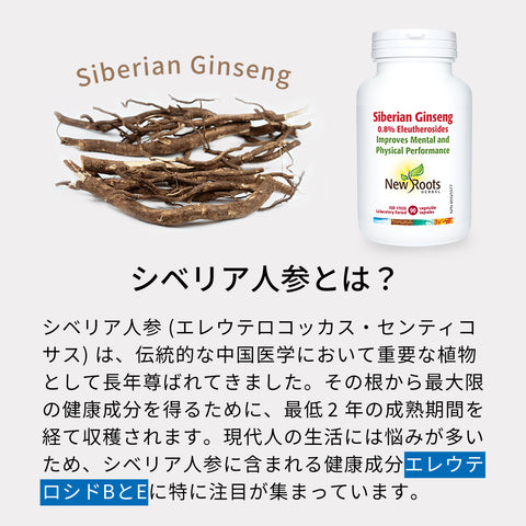 Siberian Ginseng 90 Capsules | Stress Care Eleutherosides Eleuthero Adaptogen