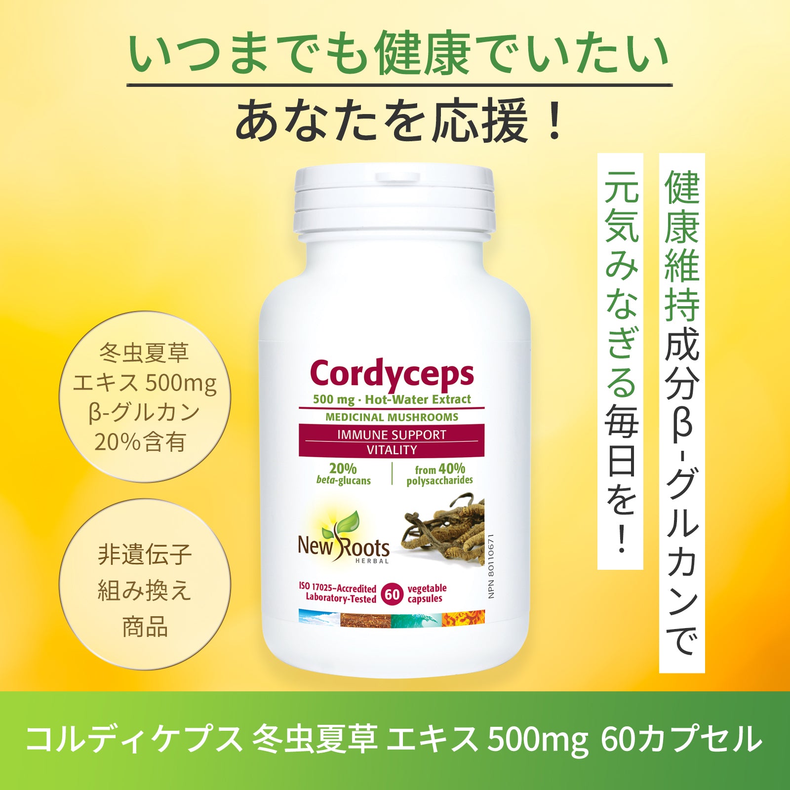 Cordyceps Sinensis Extract 500mg 60 Capsules | New Roots Herbal A supplement to support your energy! Recommended for those who want to improve their body's resistance to seasonal changes and who want to reassess their lifestyle habits!