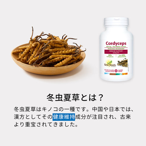 Cordyceps Sinensis Extract 500mg 60 Capsules | New Roots Herbal A supplement to support your energy! Recommended for those who want to improve their body's resistance to seasonal changes and who want to reassess their lifestyle habits!