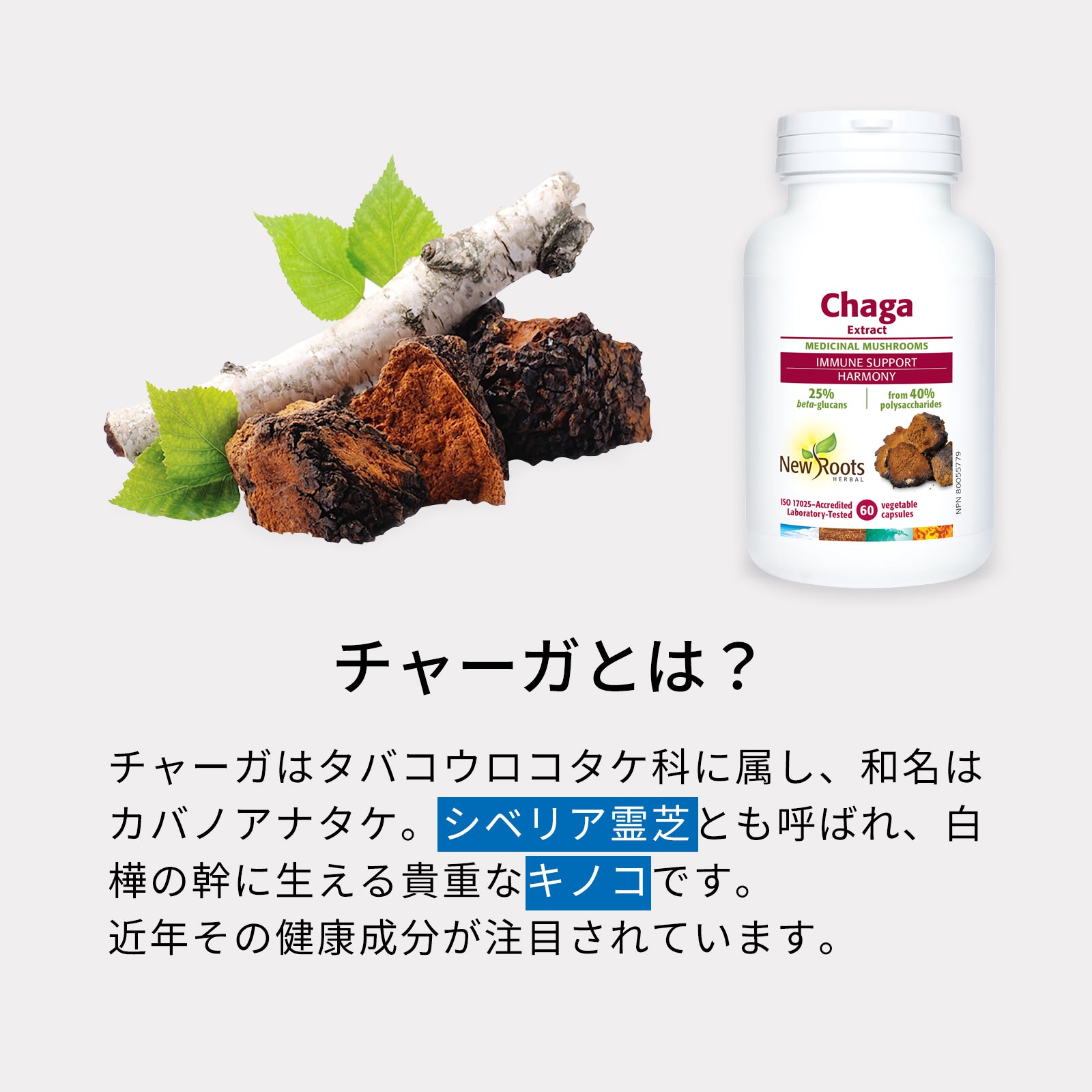 チャーガ シベリア霊芝 350mg 60粒 サプリ サプリメント  | ニュールーツハーバル 白樺 健康 活力 元気 若々しい エイジングケア 生活習慣 ポリサッカライド