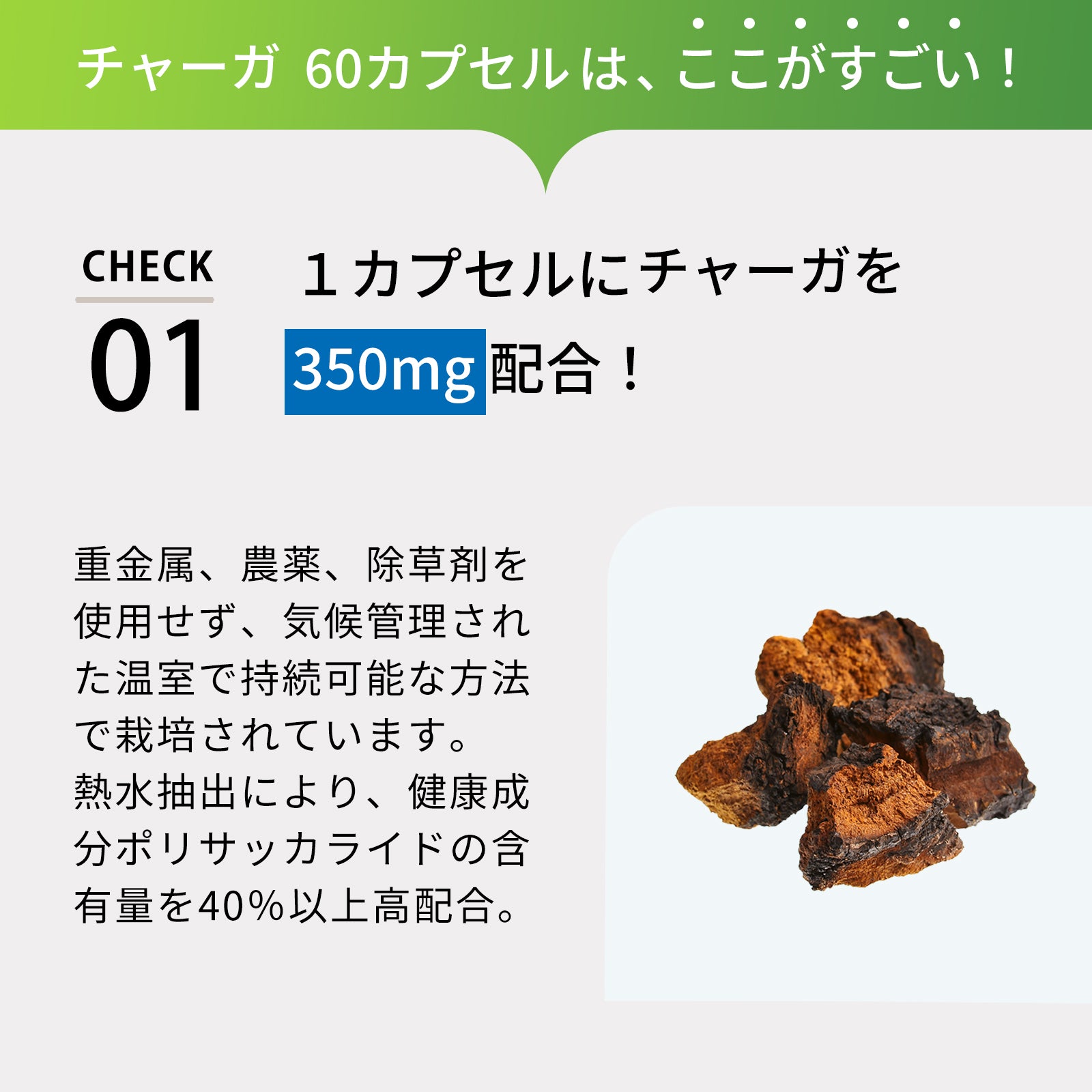 いきいきと若々しい毎日をサポート！ 季節や環境の変化に負けないカラダづくりを応援！ チャーガ