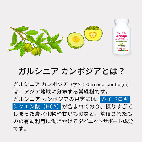 ガルシニア カンボジア 600mg 90カプセル | 天然果実由来成分で腹持ちアシスト！ 燃えるあなたの自然なダイエットサポートサプリ！