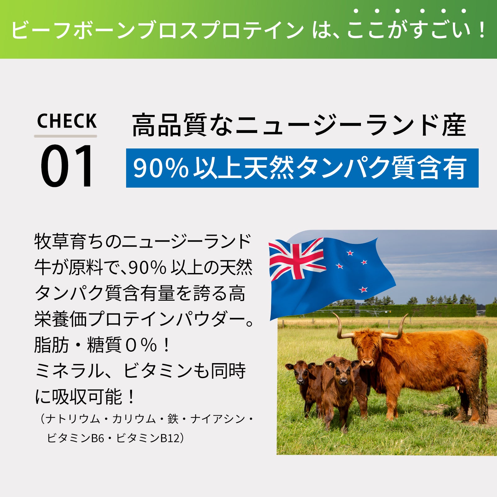 ビーフ ボーンブロス プロテイン 300g プロテイン 高タンパク質 脂質ゼロ 糖質ゼロ 筋肉 筋トレ ダイエットサポート グラスフェッド パウダー 粉末 ボーンブロススープ