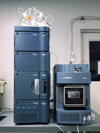 UPLC/MS (LC/MS-Triple Quad)